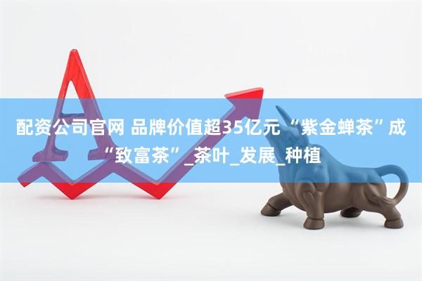 配资公司官网 品牌价值超35亿元 “紫金蝉茶”成“致富茶”_茶叶_发展_种植