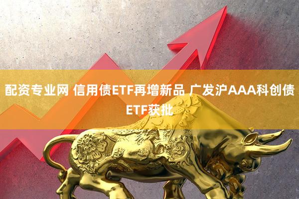 配资专业网 信用债ETF再增新品 广发沪AAA科创债ETF获批
