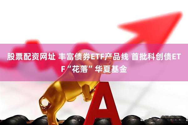 股票配资网址 丰富债券ETF产品线 首批科创债ETF“花落”华夏基金